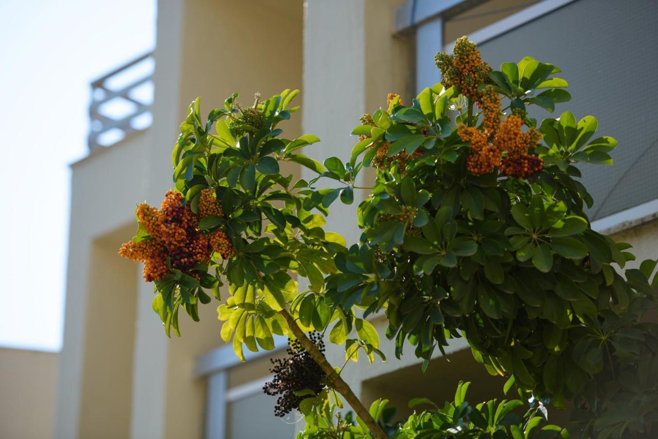Amalia Corfu Hotel - Adults Only Kato Korakiana Ngoại thất bức ảnh